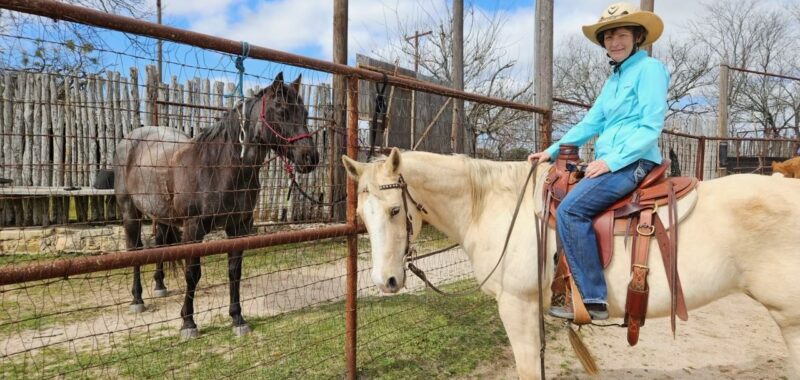 Bondie – 22 year old, QH available for adoption