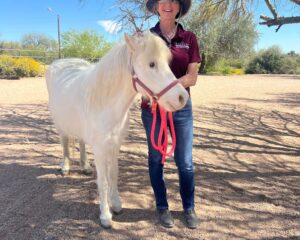 kiki-mini-horse