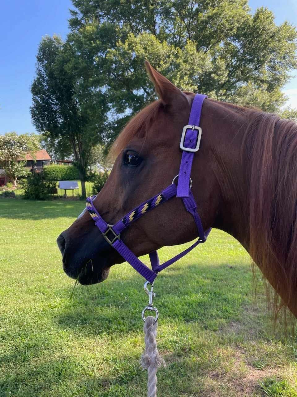 360154977_633201002151304_3264698134948414659_n-1