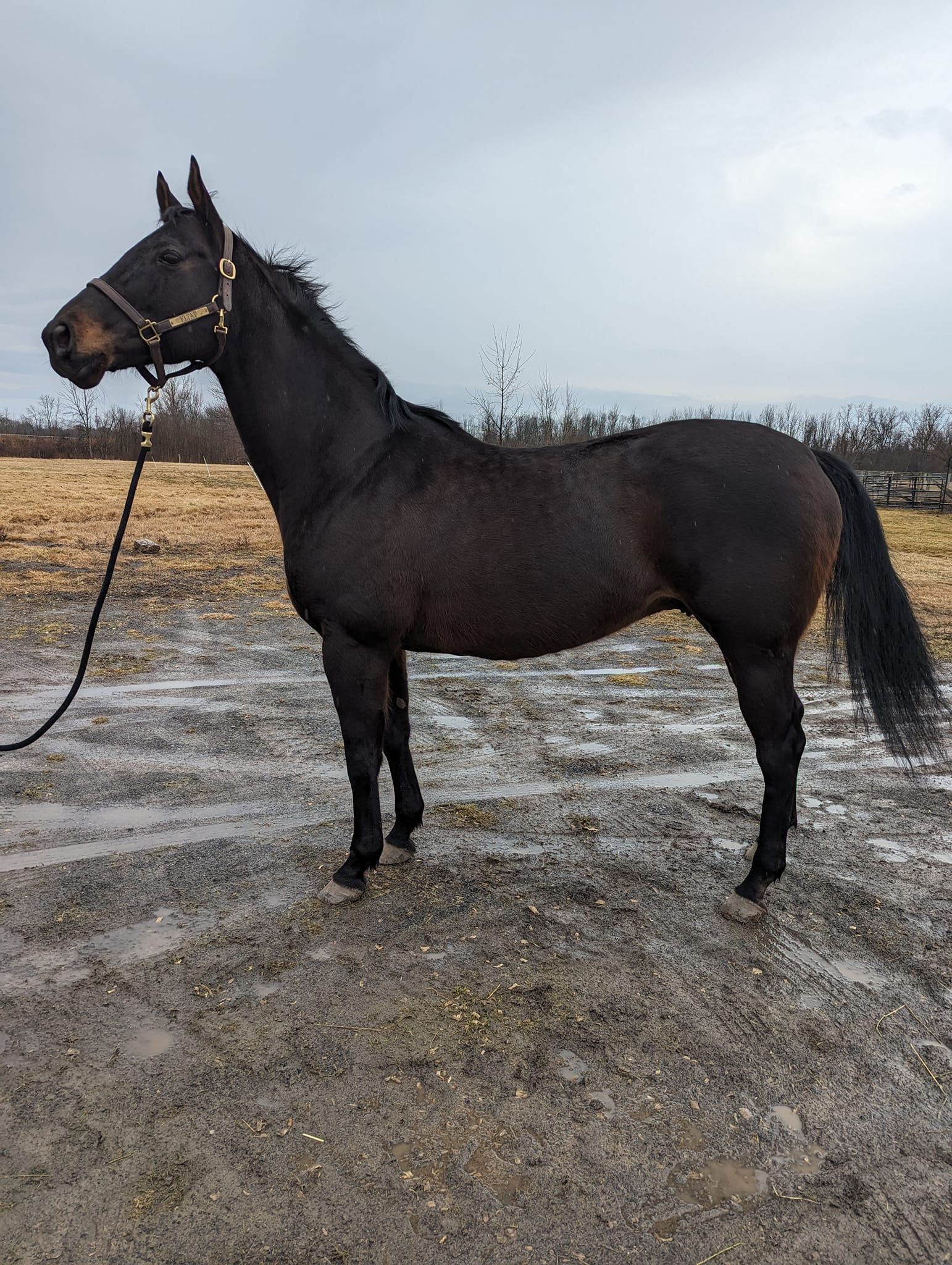 428656039_24410865898533456_7213800805080684577_n