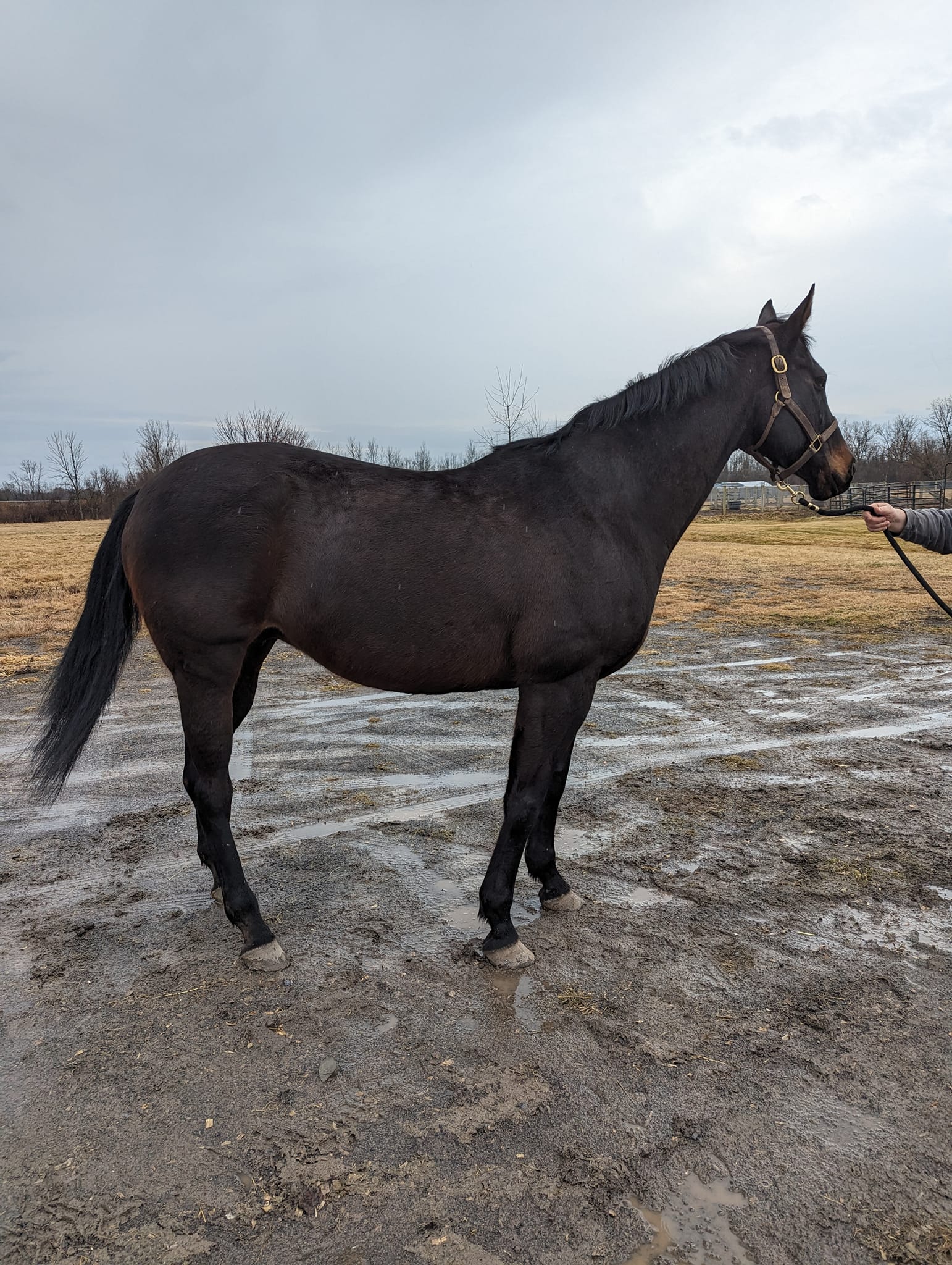 428700484_24410870101866369_4224489422947320473_n