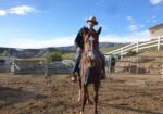 Friendly Thoroughbred Gelding