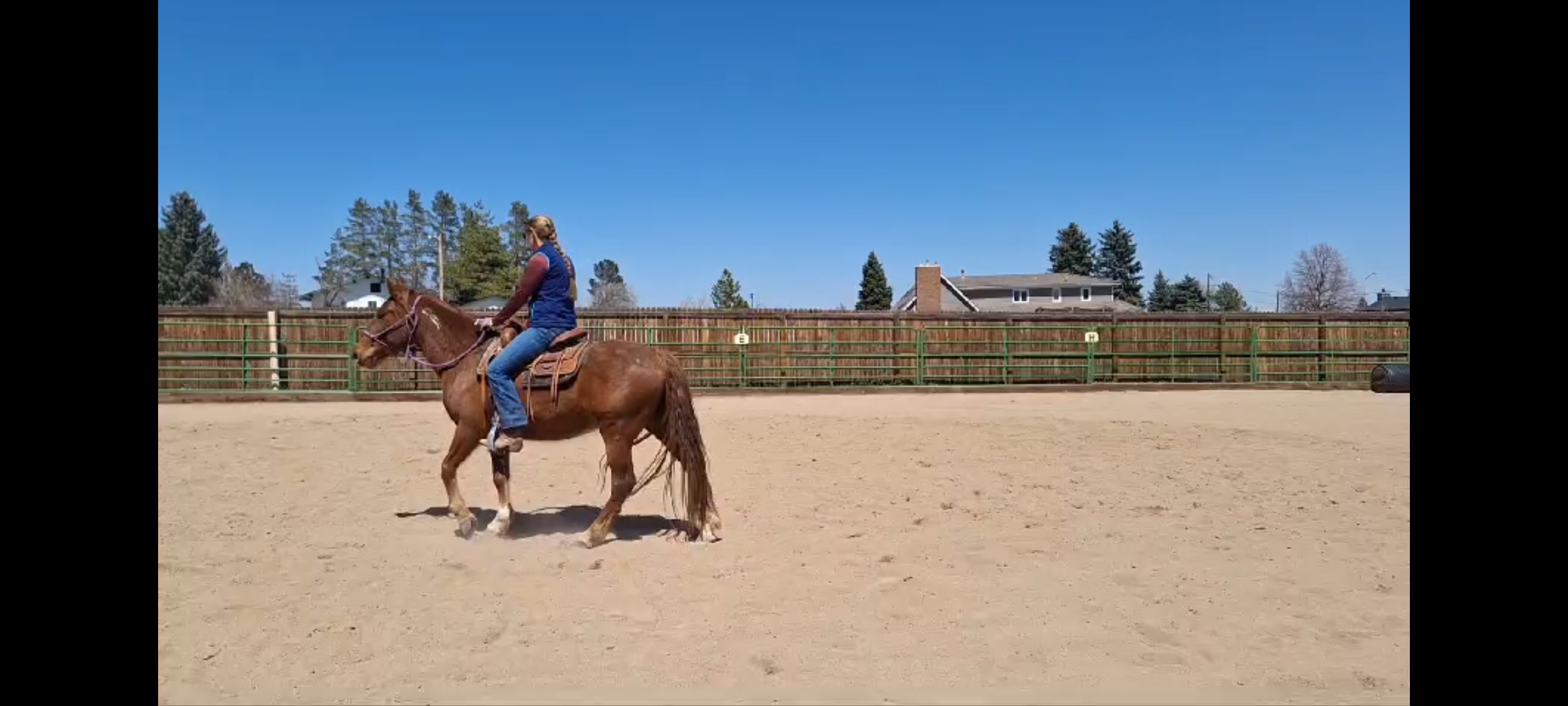 Screenshot_20240420_140056_Gallery