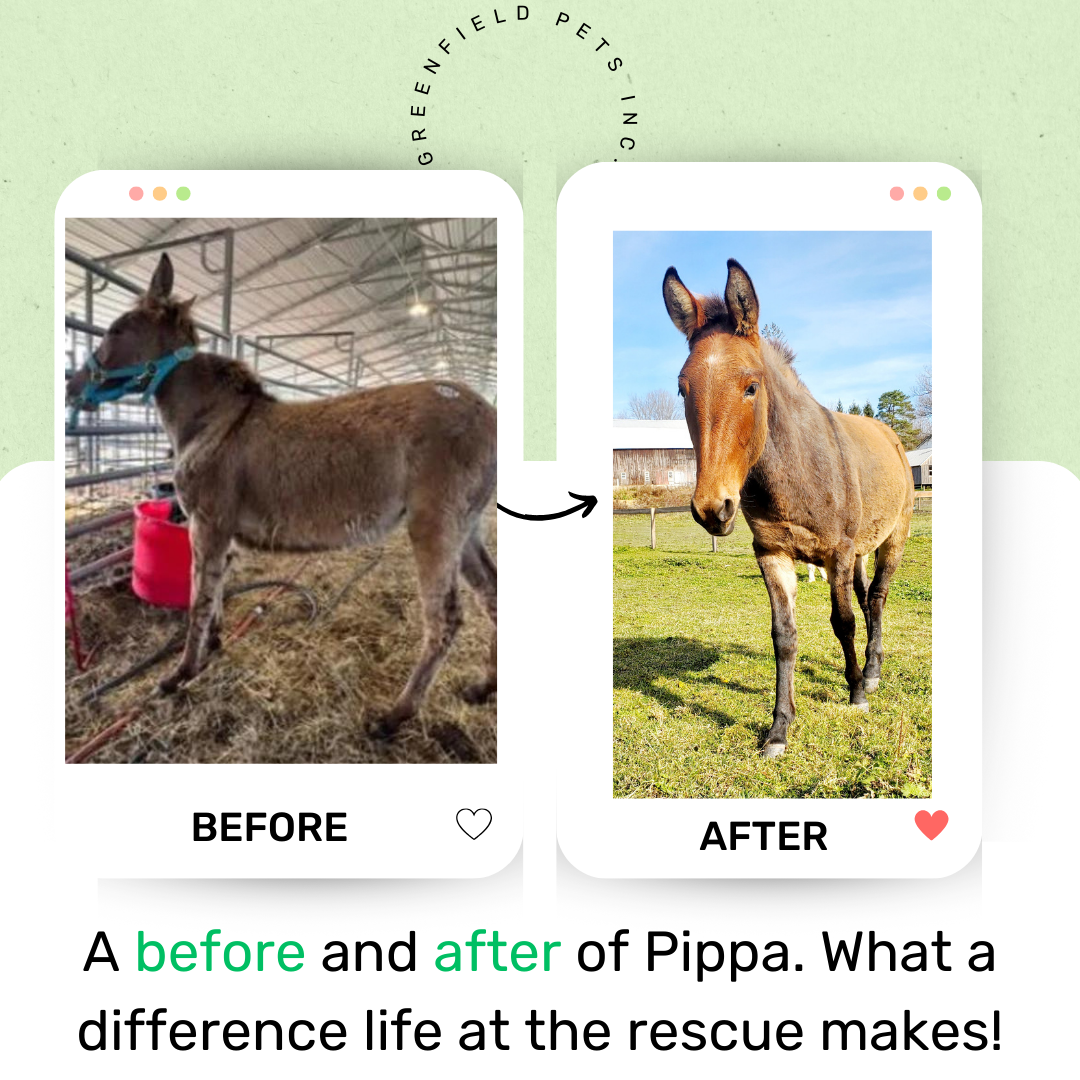 Beige-Minimalist-Skincare-Before-and-After-Instagram-Post-1