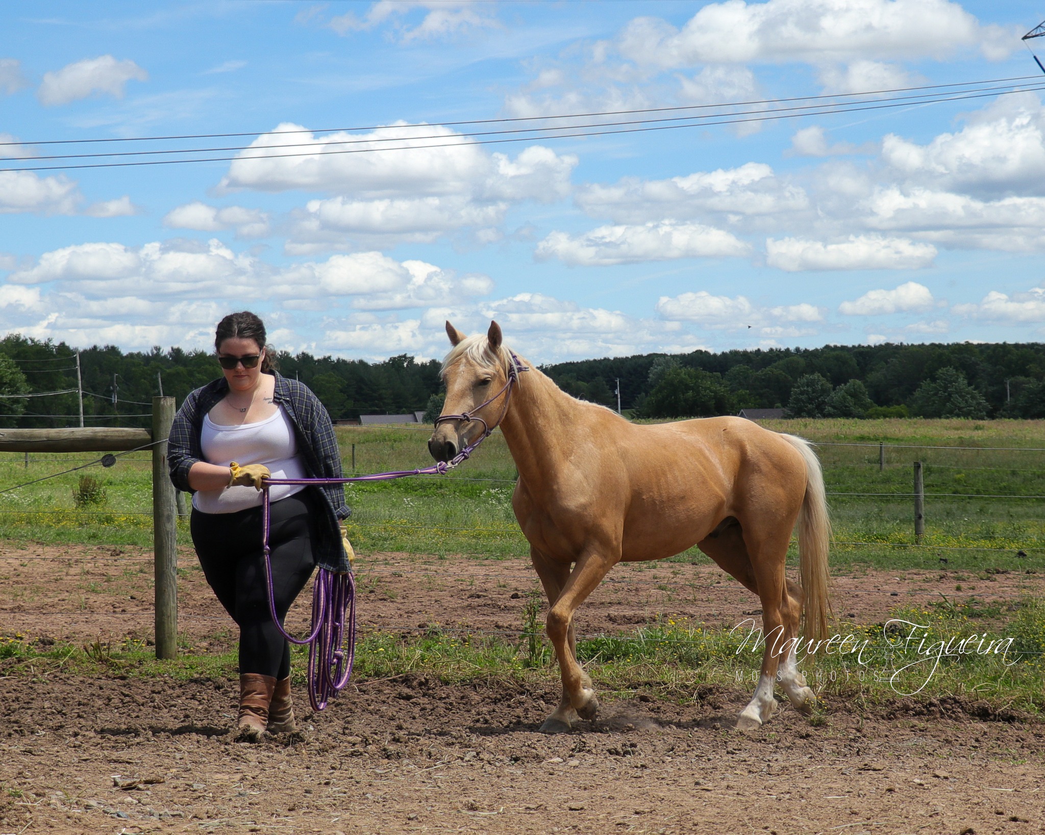 wellington-pic2-10june