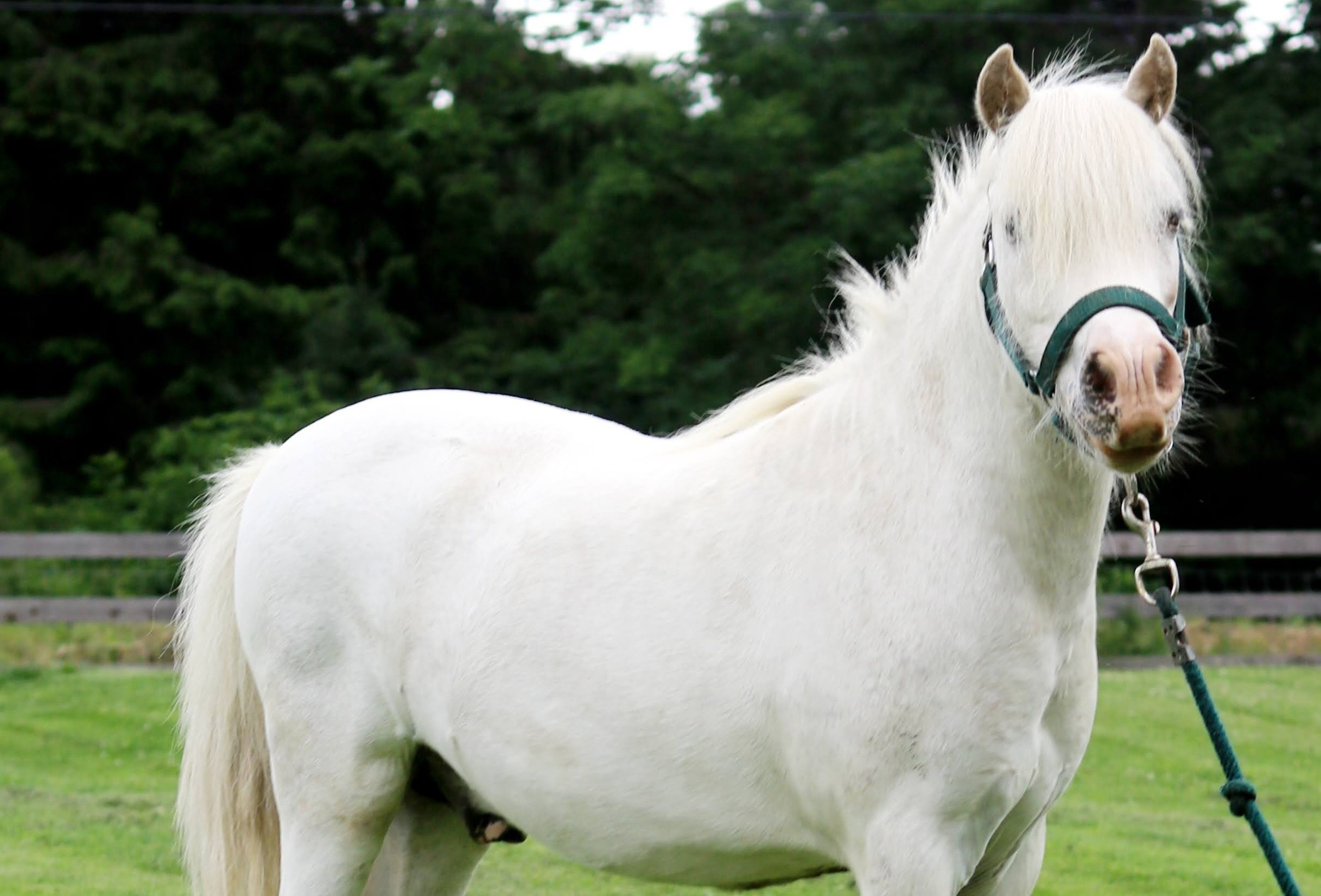 20240704204802_IMG_8681-1