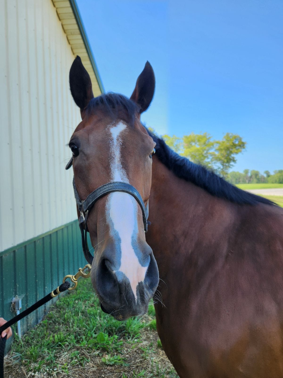 Cinco-Da-Loo-faceshot