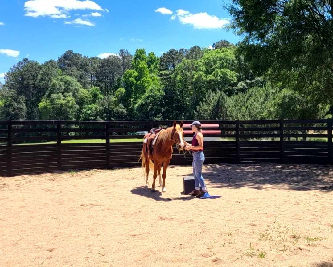 Messenger_creation_138df886-e3f1-40e2-b2c7-e56bf257ed8d