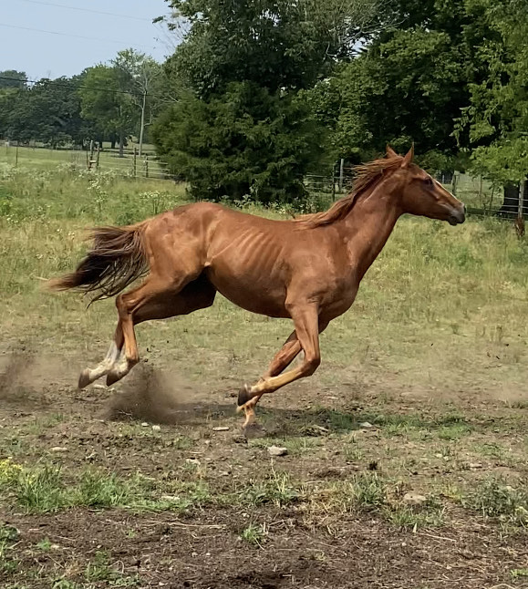 Messenger_creation_d10d507e-cde6-4070-b4df-95a5d84fe4b8