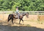 BRIAR –