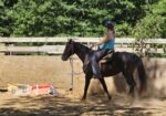 BRIAR –