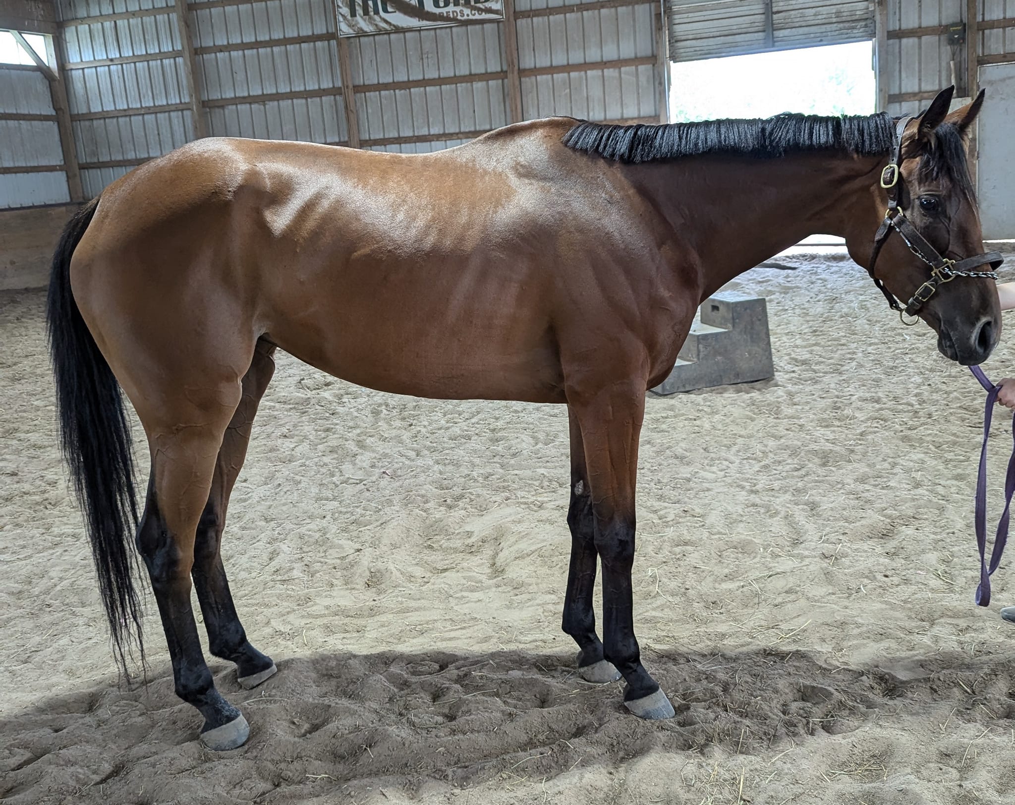 456694975_25277642588522445_5846166362169729336_n