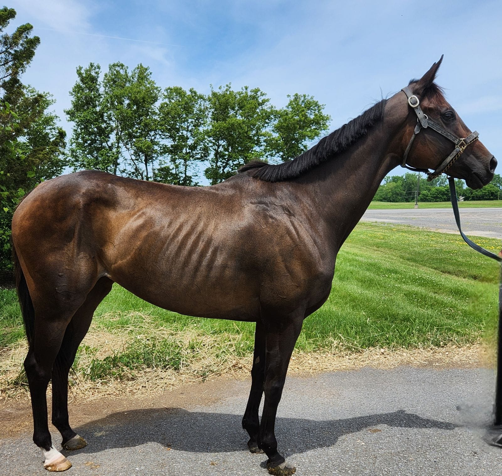 Appealing-Lalibela-2