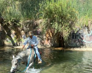 IMG-20240720-WA0023