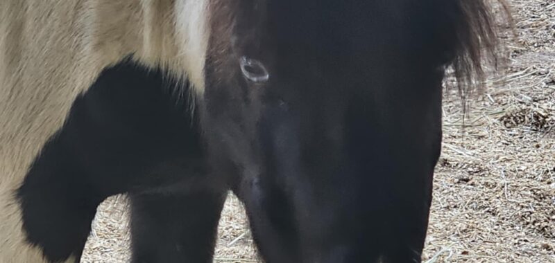 Look at this cutie!