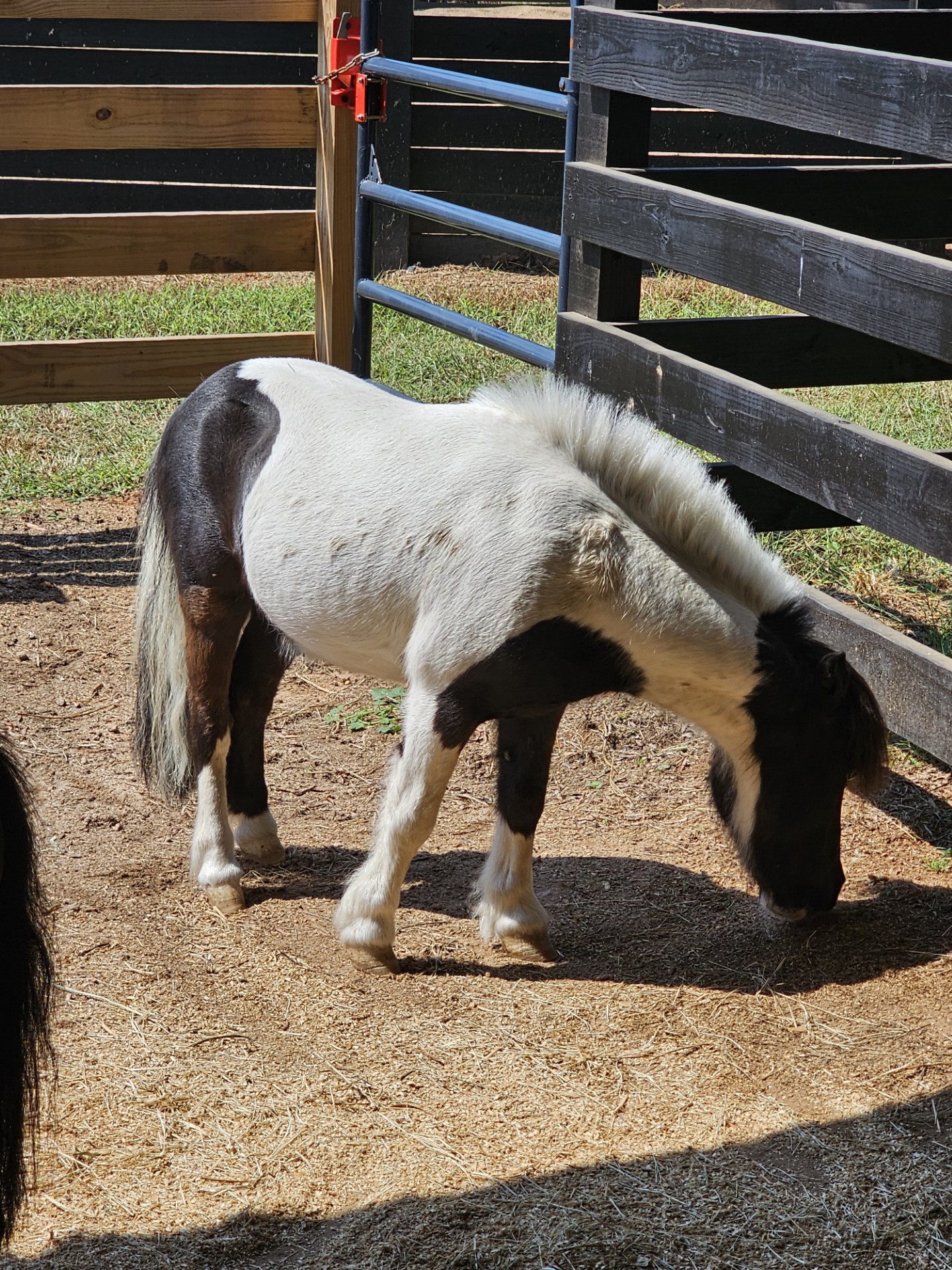 thumbnail_1000003041