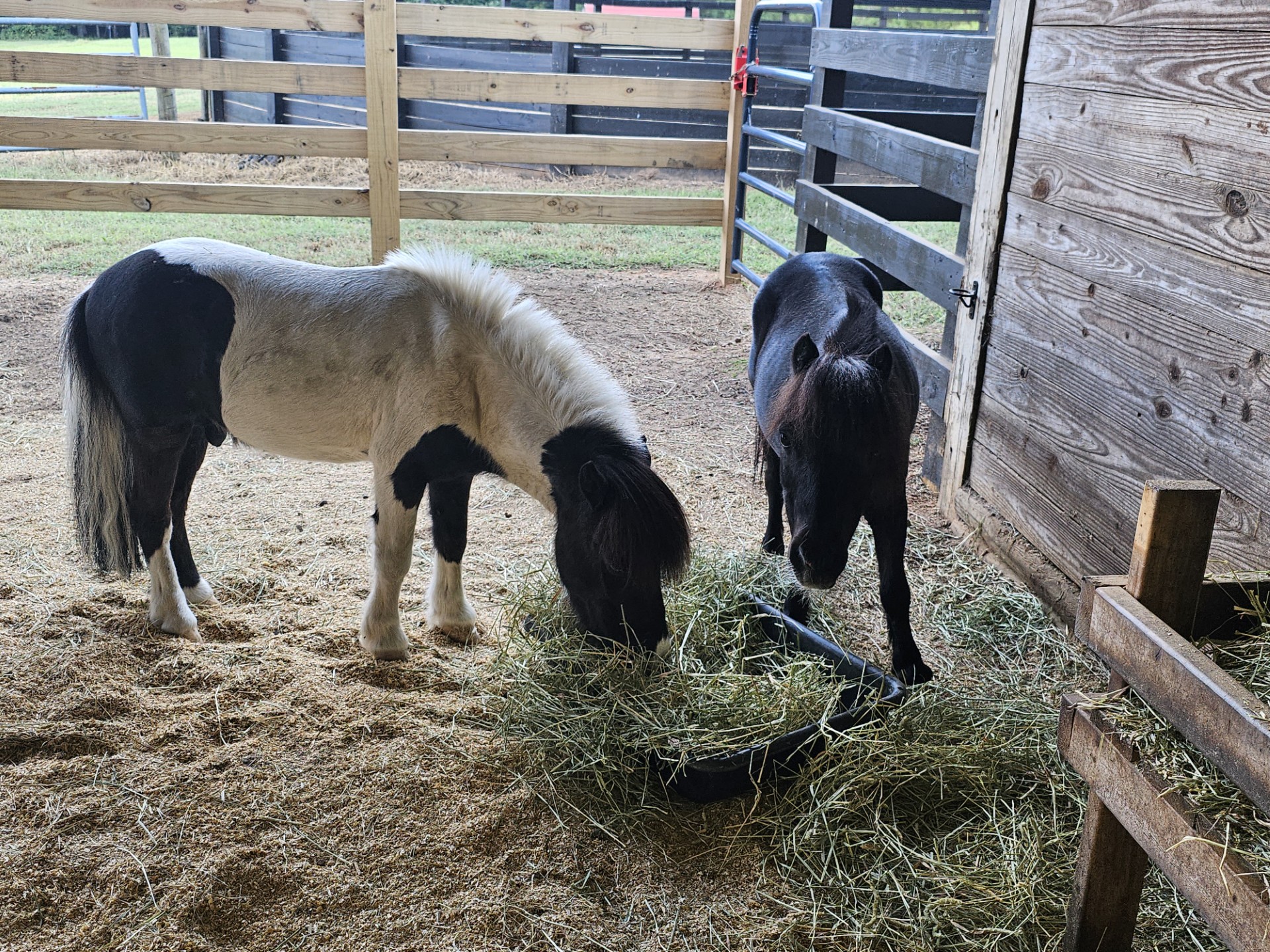 thumbnail_1000003061-1