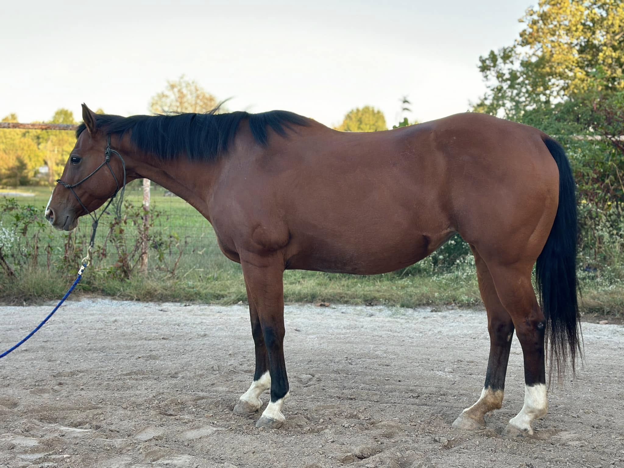 461442900_853211623663756_624019201229021804_n