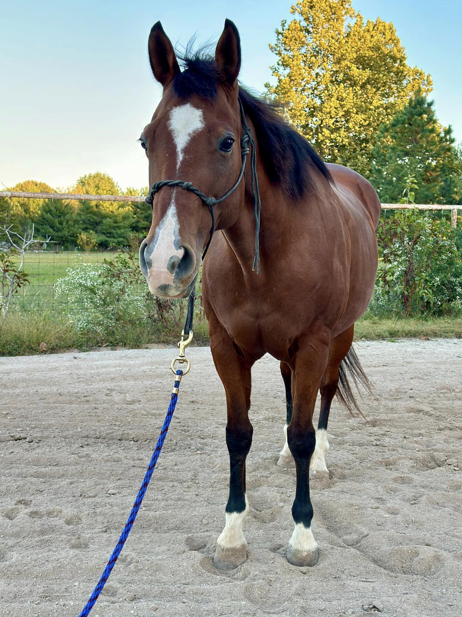 461501267_853211653663753_6849901774701159389_n