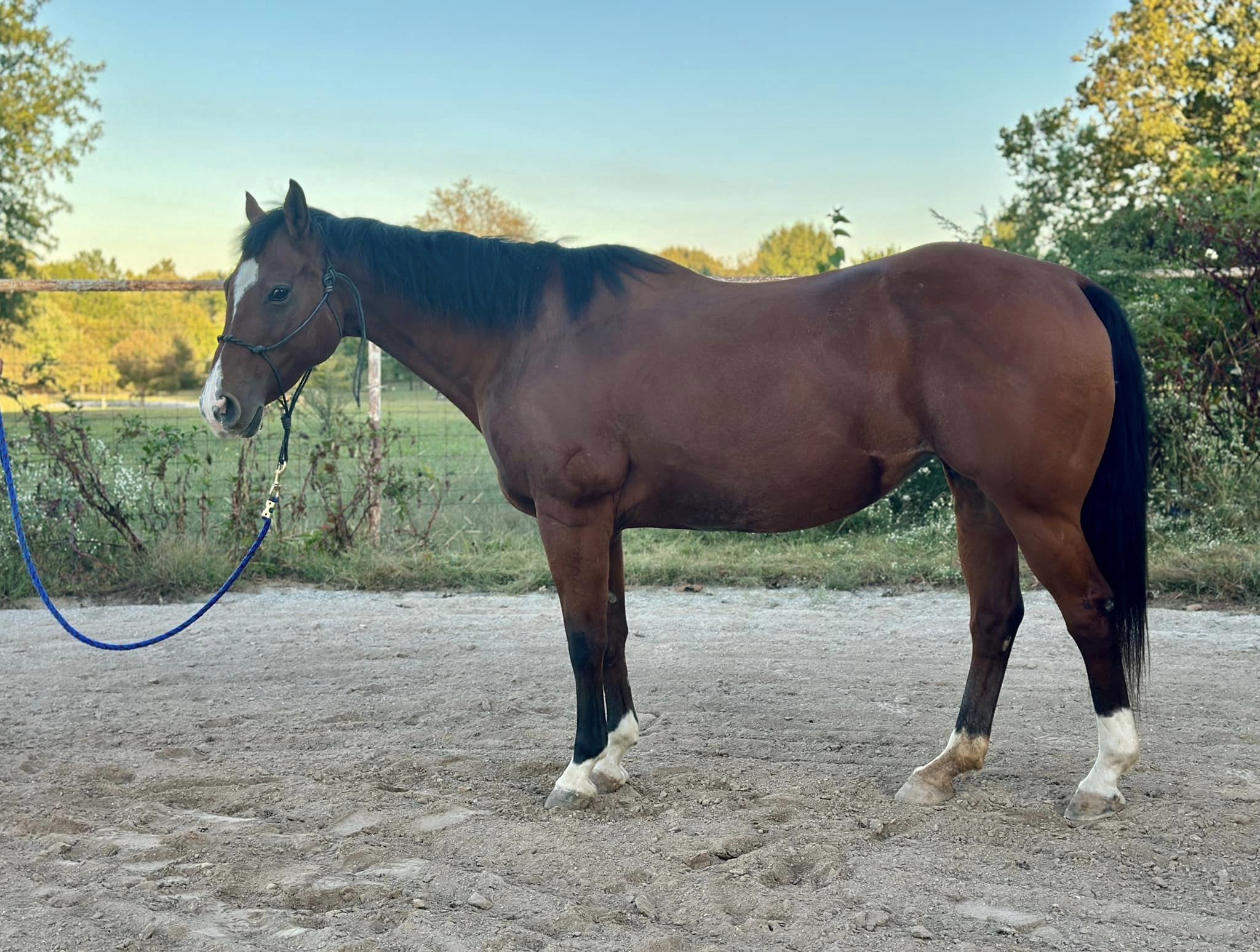 461777440_853211693663749_8436978147079600494_n