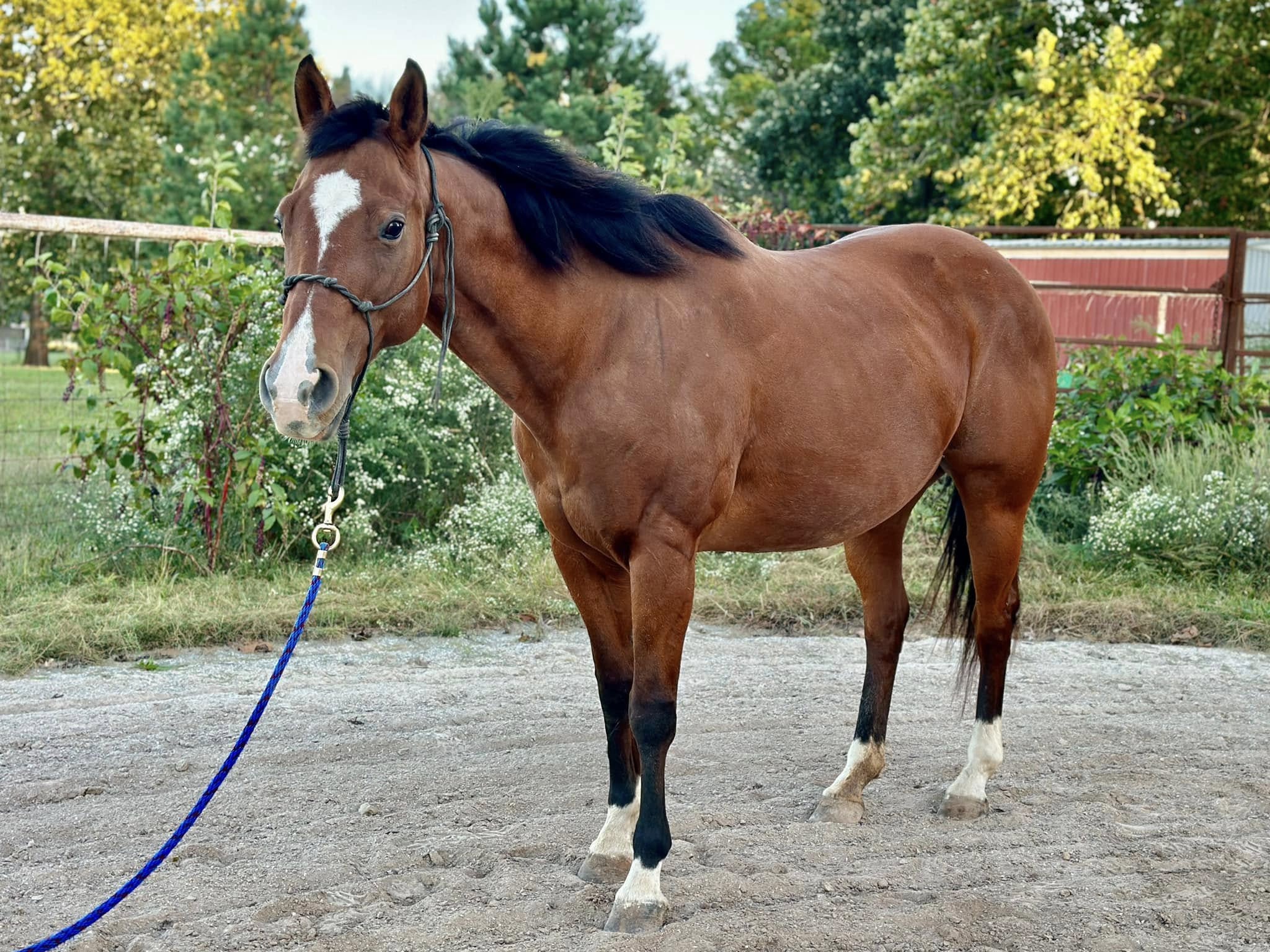 461803228_853211536997098_6567326292965008796_n