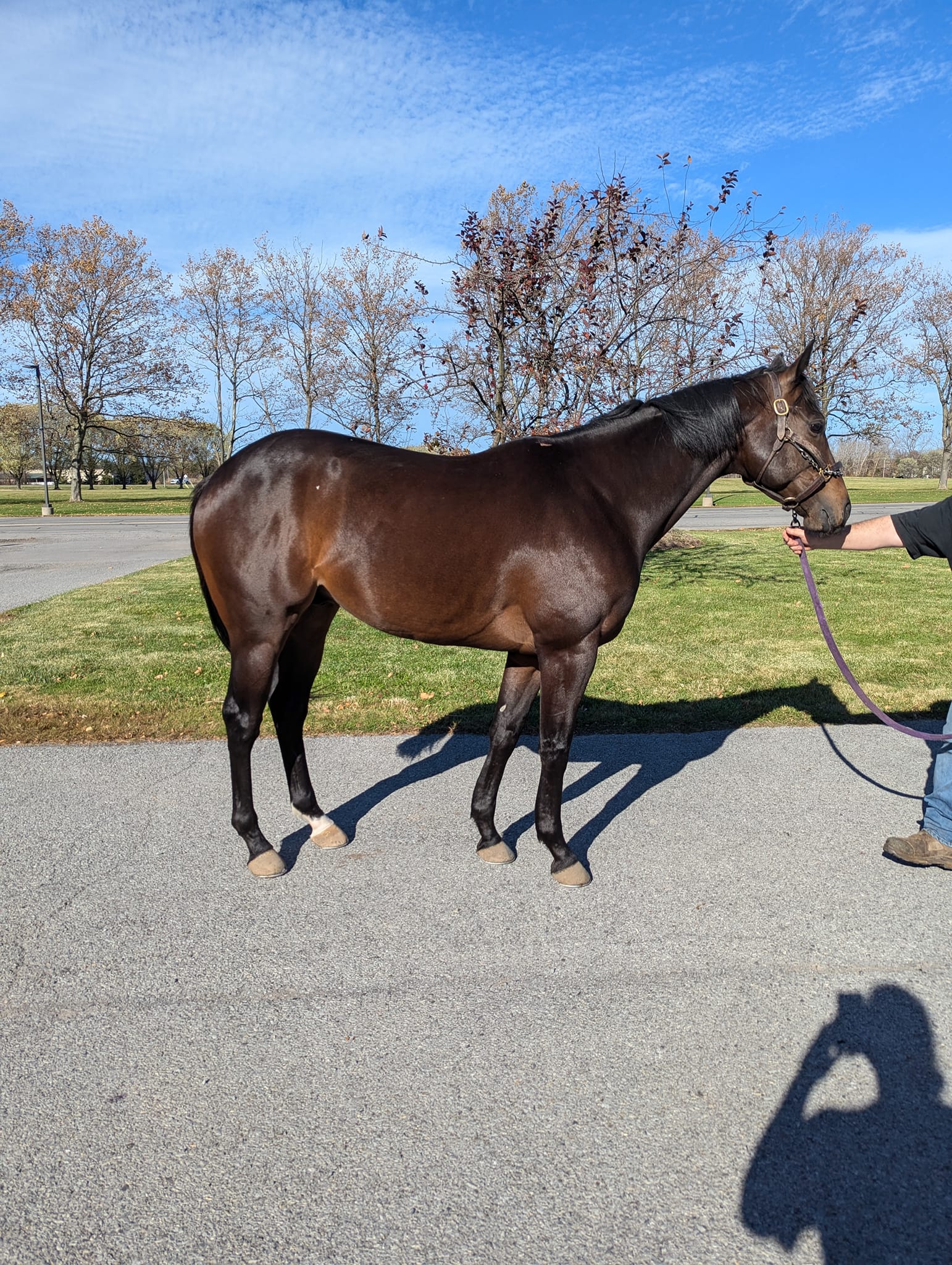 465466096_25818564097763622_6033165284214641304_n