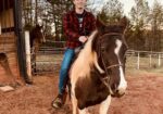 Beautiful Spotted Saddle Horse