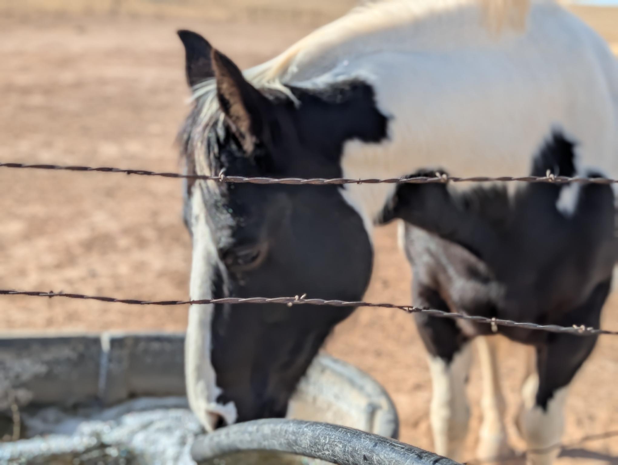 at-water-tank-portrait-12-18-24