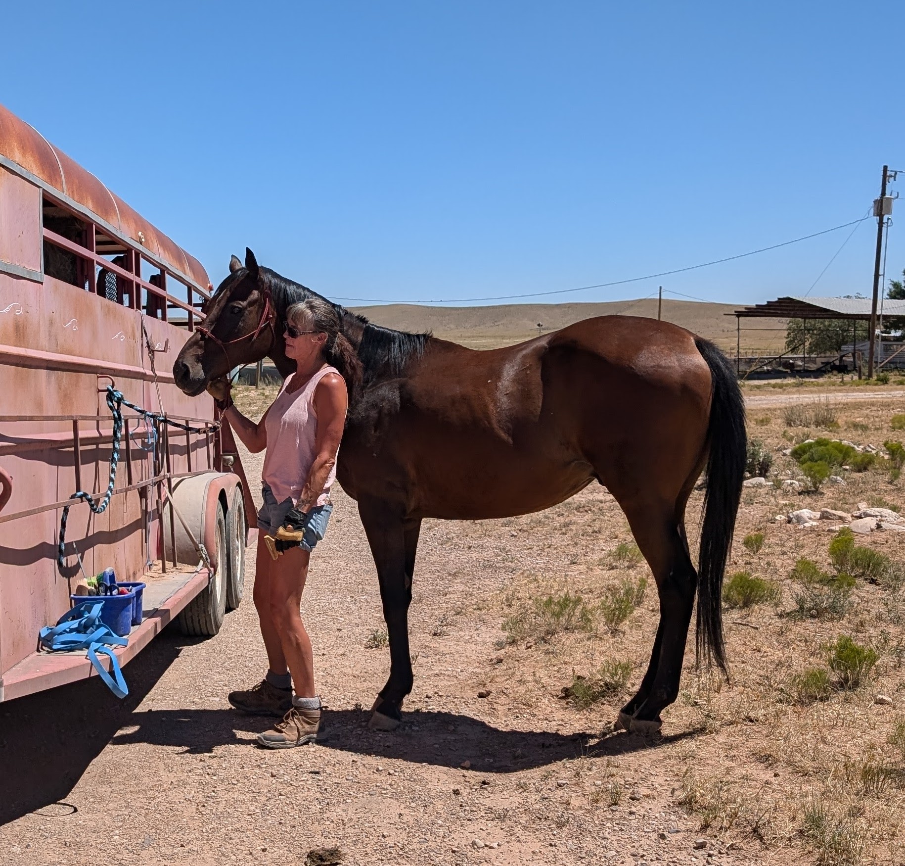 0e3d2fed-8ef2-4e07-9510-1872d1f8d41f-1_all_965