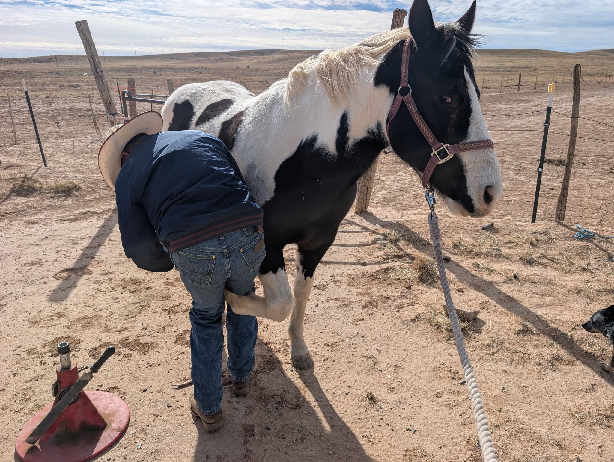 12-7-25-trimming-day