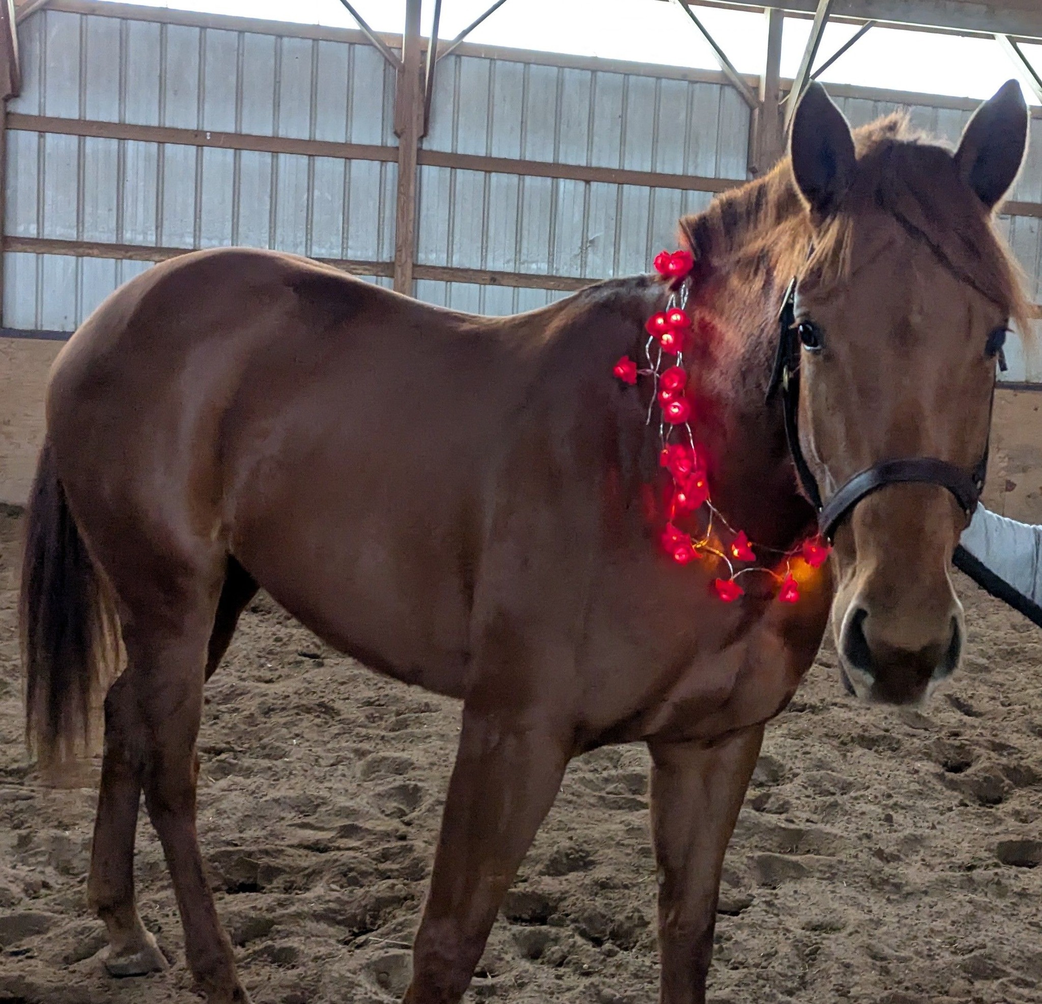 472891230_26223272573959437_202021728610654991_n