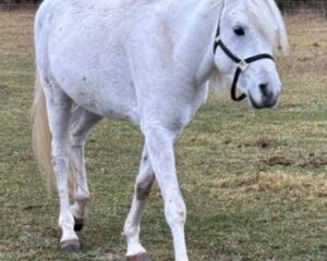 Casper-1