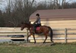 Easy, Green – can go any direction