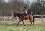 Easy, Green – can go any direction