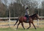 Easy, Green – can go any direction