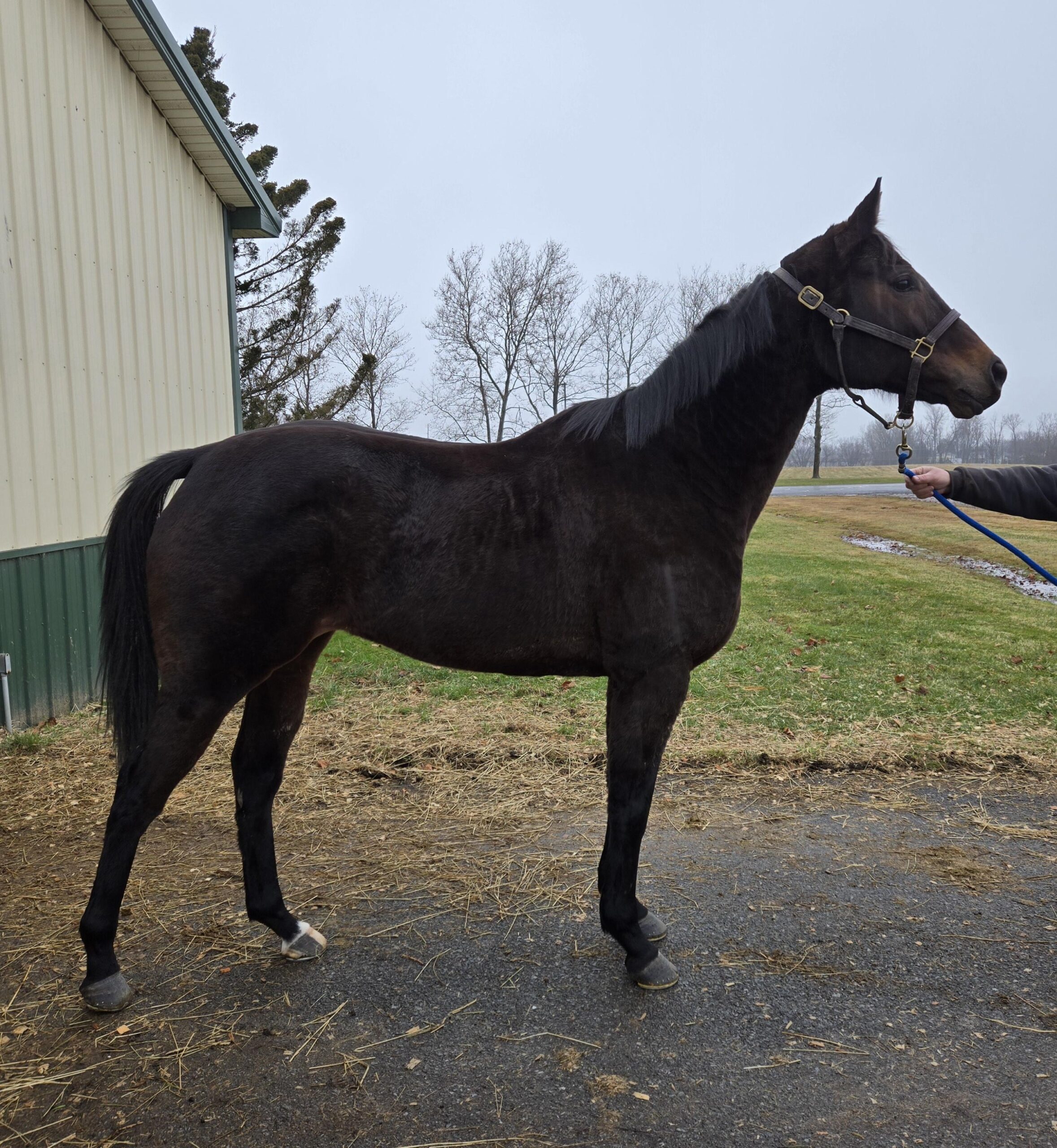 Keepmyeyeontheboys-1