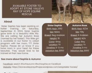 Sister-Sophia-Autumn-Rose-1