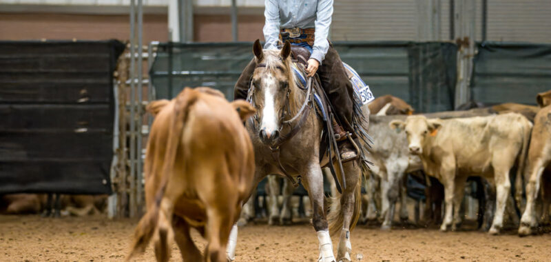 Aggies-pic-3