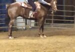 MTKS Phenomenal Boy