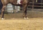 MTKS Phenomenal Boy