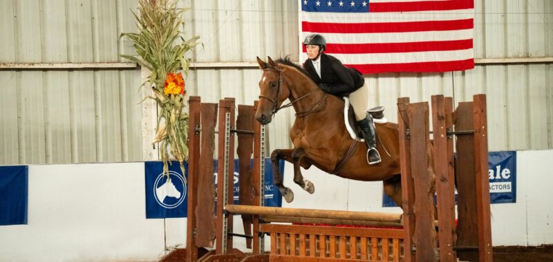 Quiet Thoroughbred Gelding Eventing & Showing At 2’6″