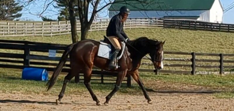 Ophelia_trot