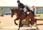 Smart Athletic Eventing Selle Francais For All Riders
