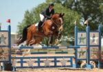 Smart Athletic Eventing Selle Francais For All Riders