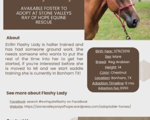 TTT-Flashy-Lady-1