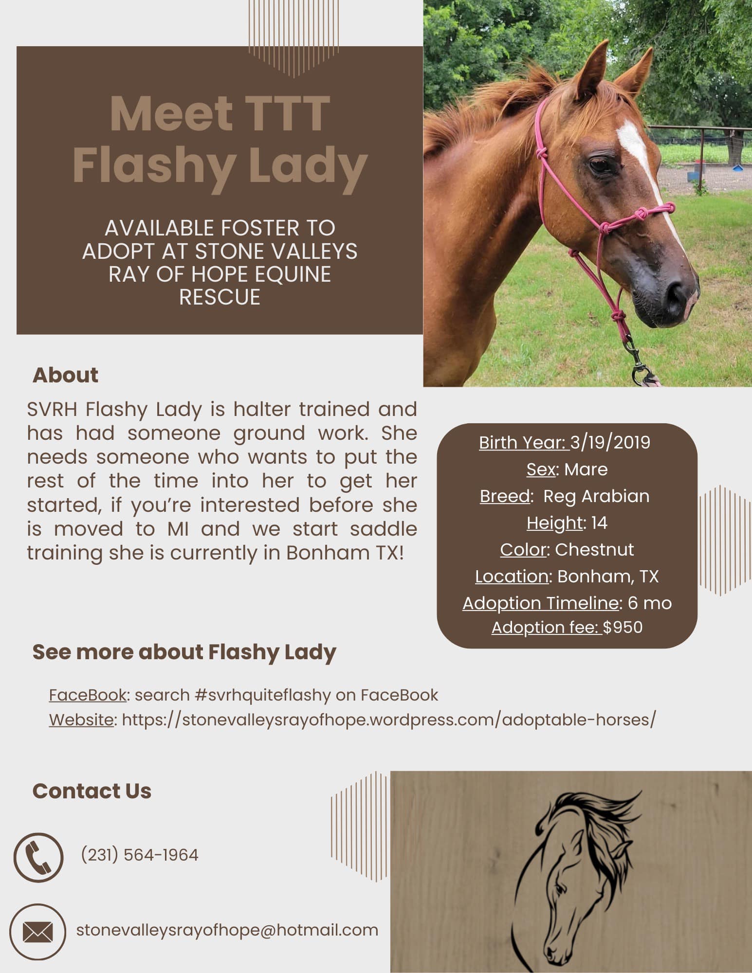 TTT-Flashy-Lady-1