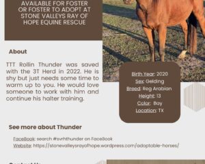 TTT-Rollin-Thunder-1