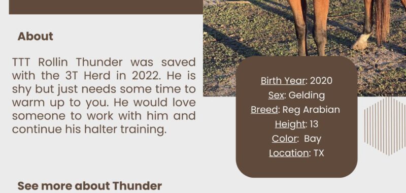 TTT-Rollin-Thunder-1