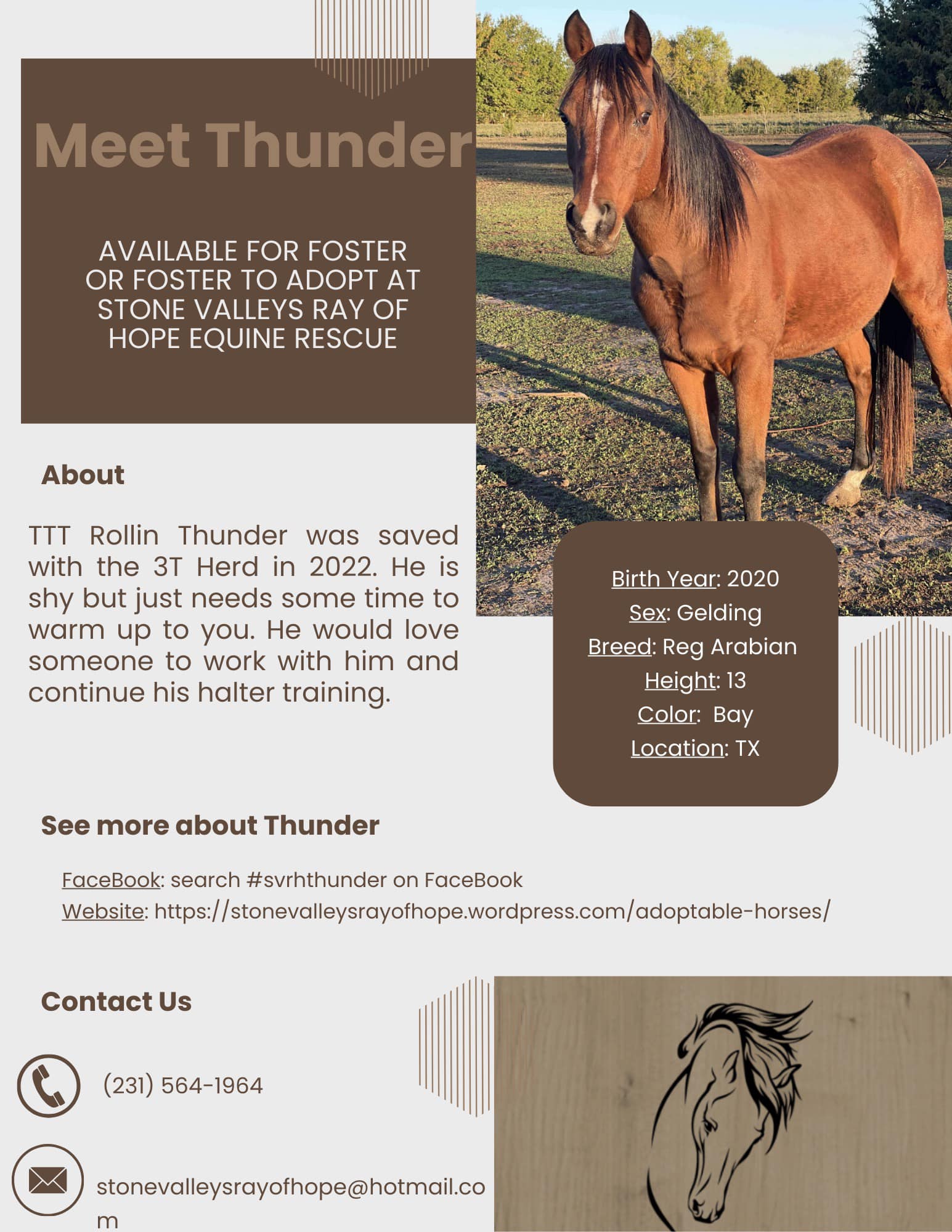 TTT-Rollin-Thunder-1