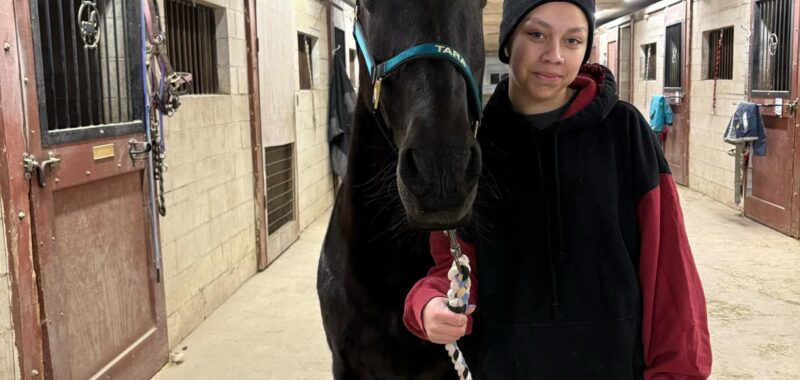 Looking for a companion horse? Tara would love to meet you!